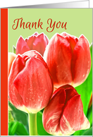 Thank You and Happy Administrative Professional Day, Tulips card