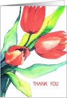 Thank You and Happy Administrative Professionals Day, Tulips card