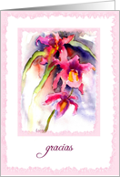 gracias orchids card