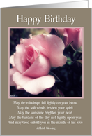 happy birthday pink rose irish blessing beige card