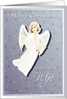 merry christmas to my dear wife card