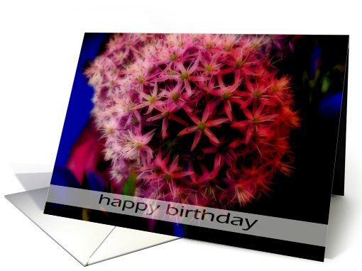happy birthday pink Agapanthus card (529579)