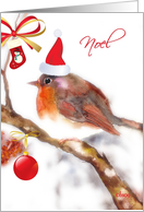 Noel merry christmas card robin with hat card