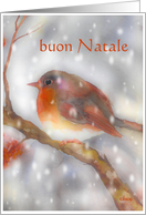 buon natale italian merry christmas robin stocking glass ornament card