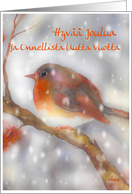 hyv joulua Finnish merry christmas robin stocking glass ornament card