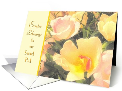 to my secret pal easter blessings yellow tulips pink roses card