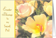 to my secret pal easter blessings yellow tulips pink roses card