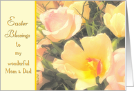 to my wonderful mom & dad easter blessings yellow tulips pink roses card