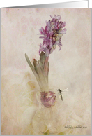 purple hyacinth in glass vase with dragon fly card