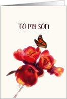 To my Son, Happy Birthday, Irish Blessing, Flower, Butterfly card
