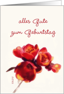 alles Gute zum Geburtstag german happy birthday butterfly red flower card