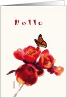 hello butterfly red flower card