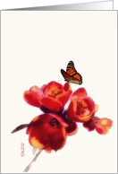 painting butterfly red flower card