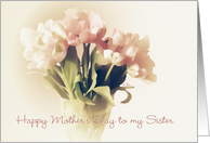 sister happy mother’s day soft pale tulips floral still life card