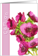 cam on, thank you in Vietnamese, pink anemone flowers card