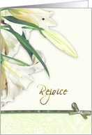 happy easter, rejoice, white lily card