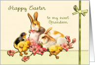 happy easter to my grandson, vintage bunnies and chicks easter card