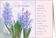 to my grandson, happy easter, christian easter card, blue hyacinth card