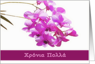 happy birthday in Greek, hronia polla, χρόνια πολλά, pink orchids, flower, floral, card