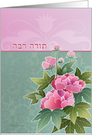 Toda raba, thank you in Hebrew, peonies card
