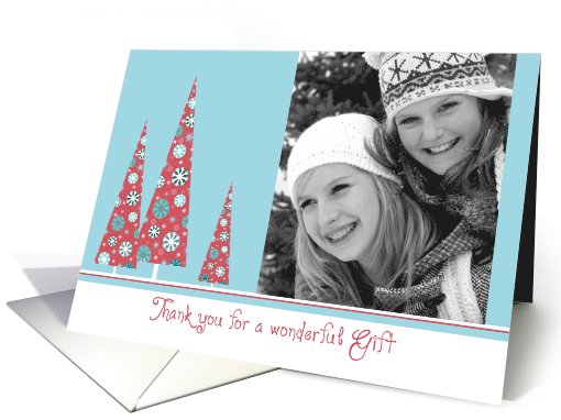 Thank you for a wonderful Christmas gift, photo card (889061)