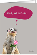 mi querido, Feliz Da de San Valentn, Spanish Happy Valentine’s Day card