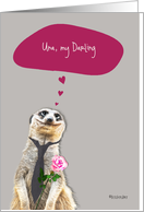 I love you, ..., customizable love & romance card, cute meerkat card