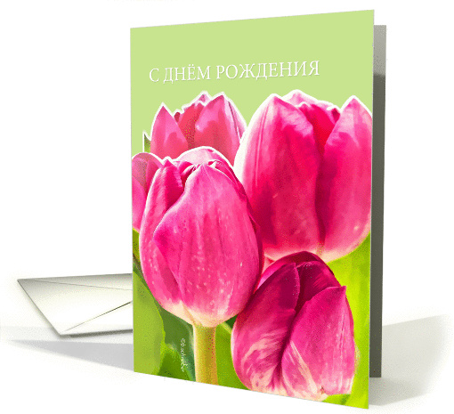 Happy Birthday in Russian, bright pink tulips card (914188)