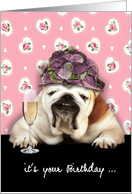 happy birthday for her, getting older, humorous female bulldog, hat card