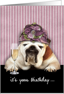 happy birthday for her, getting older, humorous birthday card, bulldog card