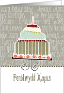 Penblwydd Hapus, happy birthday in Welsh, cake & candle card