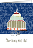 Chc mừng sinh nhật, happy birthday in Vietnamese, cake & candle card