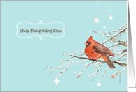 Merry Christmas in Vietnamese, red cardinal bird, watercolor card