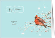 Merry Christmas to my son, red cardinal, watercolor card