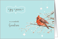 Merry Christmas to my grandson, red cardinal, watercolor card