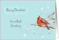 merry Christmas to a valued secretary, business card, cardinal card