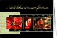 Merry Christmas in Latin, poinsettia, ornament, candles card