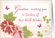 Flowers and Butterfly Grandma Get Well Wishes Feel Better card