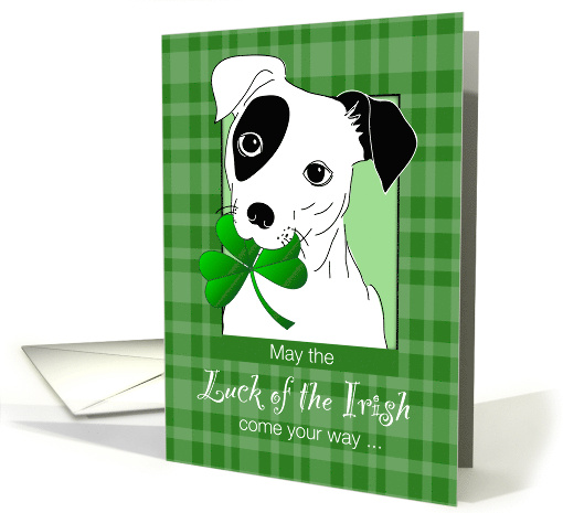 Jack Russell Terrier Dog With St Patricks Day Clover card (1214334)