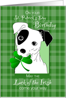 Birthday on St Patricks Day Jack Russell Terrier Dog Green Clover card