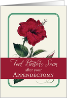 Appendectomy Feel Better Red Hibiscus Flower Religious card