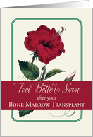 Bone Marrow Transplant Feel Better Red Hibiscus Flower Religious card