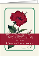 Cancer Feel Better Red Hibiscus Flower Religious card
