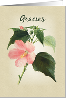 Hibiscus Thank You Spanish card