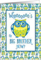 Big Brother Congratulations Cute Owls card