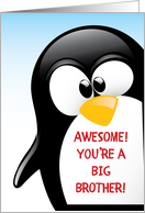 Big Brother Congratulations Awesome Penguin card