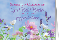 Get Well After Appendectomy, Appendix Removed Garden Flowers card