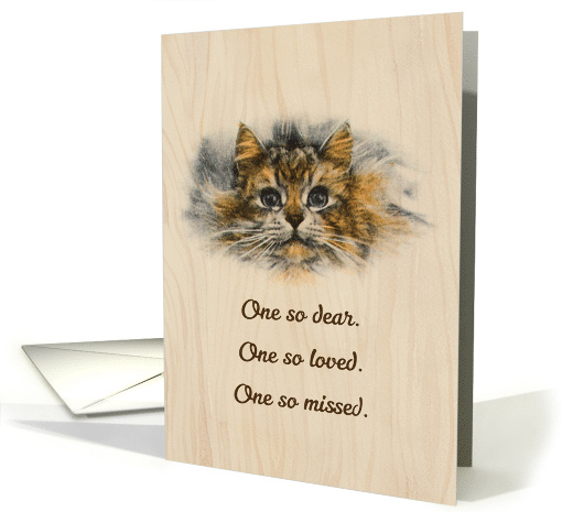 Cat Sympathy So Missed Illustration of a Brown and Black Cat card