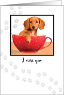 Miss You Dachsund Puppy in Cup card