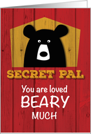 Secret Pal Valentine Bear Wishes on Red Wood Grain Look card